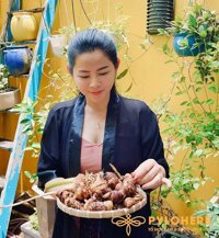 Thất Diệp Nhất Chi Hoa Rừng