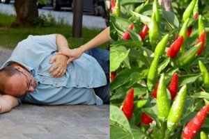 Thật Hay Giả - True Or False