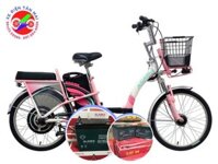 Thay Ắc quy xe đạp điện Asama Ebk Or 2202