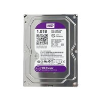 Thay ổ cứng HDD Western Digital Purple 1TB