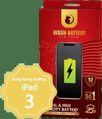 Thay Pin Bison iPad 3