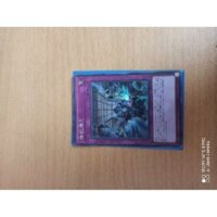 thẻ bài Evenly Matched YGO/ tặng toploader