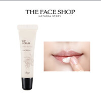 [THE Face SHOP] Son Tẩy Tế Bào Chết Môi fmgt