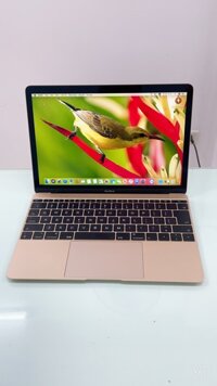 The New Macbook 12'' 2017 Core I5 8GB 512GB