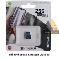 Thẻ nhớ 256Gb Kingston Class 10