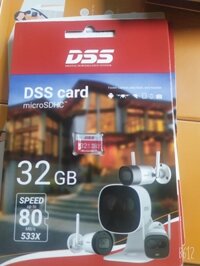 Thẻ nhớ 32 GB Micro SD DSS cho camera