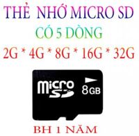 THẺ NHỚ 4G MICRO SD