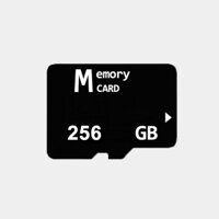 Thẻ nhớ nhanh SD bảo vệ dữ liệu 256GB 10 cấp độ - máy tính xách tay chơi game máy ảnh điện thoại di động micro SD chính