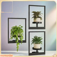 Thêm đơn đặt hàng| Giá đỡ cây chắc chắn Giá đỡ cây trồng treo tường chất lượng cao Giá đỡ cây treo tường bằng kim loại hiện đại để trang trí gia đình và văn phòng Khung sắt sành điệu cho màn hình thực vật trong nhà