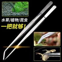 Thép không gỉ đầu thẳng khuỷu tay tròn mở rộng nhíp bể cá cây thủy sinh côn trùng mọng nước kẹp dụng cụ lớn Niezi nhúm