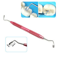 Thép không gỉ Phục hồi thẩm mỹ Nha khoa Bản sao Răng sau để đơn giản hóa mô hình xương sống Nha khoa Nhựa làm đầy thìa