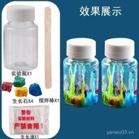 Thí nghiệm khoa học, đồ chơi làm vật liệu silicat natri, đá vườn hóa học cho trẻ em học sinh tiểu học, bộ nước tăng trưởng