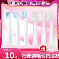 Thích hợp cho đầu bàn chải đánh răng điện Panasonic Universal WEW0972 / EW-DM71 / 711 / 712 / 61 / PDM7B