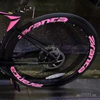 Thích hợp cho nhãn dán bánh xe đạp XDS, nhãn dán vành AD300 AD350 RS350 RS380
