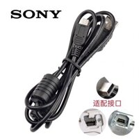 Thích Hợp Cho Sony Mirrorless Camera Cáp Dữ Liệu NEX-5N 5C C3 3C 7 A33 A35 A55 Truyền Hình USB