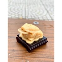 THIỀM THỪ (CÓC) NGỌC HOÀNG LONG