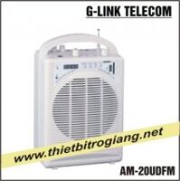 Thiết bị âm thanh trợ giảng AUVISYS AM-20UDFM