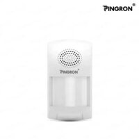 Thiết Bị Chống Trộm Hồng Ngoại Báo Điện Thoại PINGRON P07W