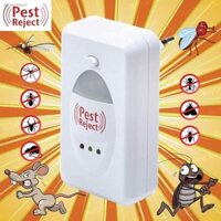 Thiết Bị Đuổi Côn Trùng Pest Reject - Máy Đuổi Chuột Gián Muỗi Ruồi Kiến Mối Thông Minh
