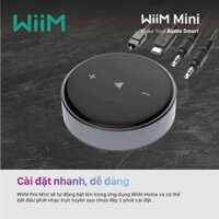 Thiết bị kết nối không dây DAC + Network Streamer WiiM Mini - Hàng chính hãng 100% - echo audio sai gon12