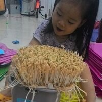 Thiết bị làm giá sạch gv102