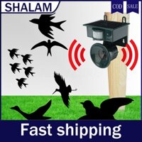 Thiết bị xua đuổi chim bằng sóng siêu âm sử dụng năng lượng mặt trời