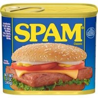 Thịt Heo Hộp Spam Classic 340g