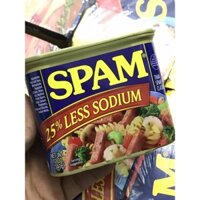 Thịt Hộp Spam Mỹ 340g