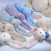 Thỏ bông lông mềm Jelly Cat thêu tên cho bé theo yêu cầu, Món quà ý nghĩa, thỏ Jellycat thêu tên