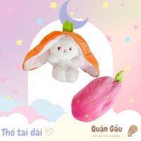 🐇Thỏ tai dài trong củ cà rốt và trái dâu xinh xắn kích thước 30cm🍓
