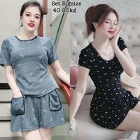 Thời Trang Bigsize - Set Bộ Áo Cổ Tròn và Quần Đùi 2 Túi Viền Ren Bigsize Vải Thun Tăm In Nơ Chấm Bi Hot Hit Nữ 40-95kg