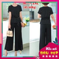 THỜI TRANG TRUNG NIÊN, SET BỘ CÔNG SỞ KIỂU SET ÁO CHẤM BI PHỐI QUẦN ỐNG RỘNG, BỘ ĐỒ TRUNG NIÊN 321
