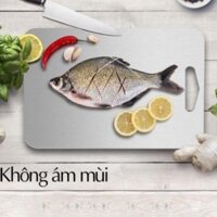 THỚT INOX KHÁNG KHUẨN NÊN SỬ DỤNG