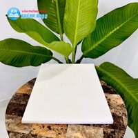 Thớt nhựa 40x50cm dày 2cm