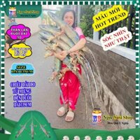 THÚ BÔNG CON THẰN LẰN THẠCH SÙNG TẮC KÈ 3D SIÊU ĐỘC LẠ DÀI 1M35 - gấu bông đồ chơi doll toy búp bê