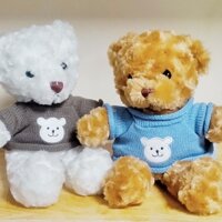 Thú bông gấu Teddy lông xù áo len hình gấu