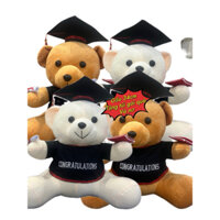 THÚ BÔNG GẤU TỐT NGHIỆP 34cm - tặng túi gói quà và nơ - quà tặng