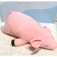 Thú Bông Heo Nằm 40cm/60cm