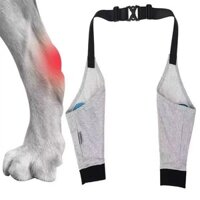 Thú Cưng Chó Chân Trước Vỏ Bảo Vệ Khớp Chân Khuỷu Tay Dụng Cụ Bảo Vệ Miếng Lót Đầu Gối Thú Cưng Vết Thương Ấm Chống Dính Chống Mòn Bảo Vệ