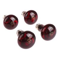 Thú Cưng Đỏ Đèn Sưởi E27 Tia UV 25W-100W Bóng Đèn Bò Sát Cho Lưỡng Cư Rắn Ngày Đêm Nhiệt Ac220-240v