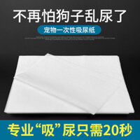 Thú Cưng Đổi Miếng Lót Chó Tã Tã Tã Tã Chó Tã Tã Dụng Cụ Tiện Dụng Chó Con Mèo Tã Dùng Một Lần cxbshengjing.my4 * 1