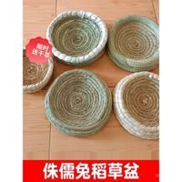 Thú cưng thỏ lùn, chăn nuôi bốn mùa, chuồng thỏ mùa đông, chuồng cỏ, thảm lót ấm, đồ dùng mùa hè