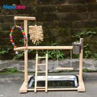 Thú Cưng Vẹt Playstand Với Ăn Gỗ Cá Rô Tập Gym Leo Thang Đồ Chơi Cho Vẹt Budgie Cockatiel