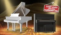 THU MUA ĐÀN PIANO CŨ GIÁ CAO