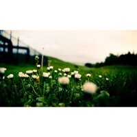 Thử nghiệm thêm mục cho csc