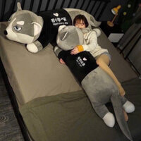 Thú Nhồi Bông Chó Husky,Chó Ngáo Đáng Yêu