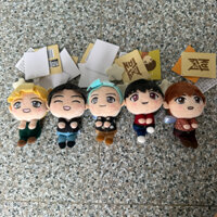 Thú Nhồi Bông, Gấu Bông KPOP TINYTAN Nhóm Nhạc BTS V RM  Sugar J-Hope Jin - Chính hãng🇯🇵