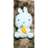 Thú nhồi bông/ Gấu bông Thỏ đầu to má hồng ôm cà rốt 🥕🥕🥕 đáng yêu 🎀🎀🎀🐰🐰🐰