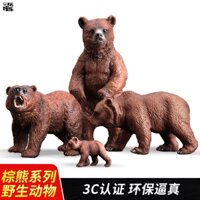 Thú rừng chính hãng Gấu nâu Gấu đen Chó gấu Đồ chơi Mô phỏng trẻ em Đồ chơi nhận thức động vật rắn