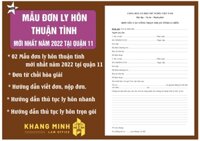 Thủ tục ly hôn thuận tình quận 11  Mẫu đơn Hướng dẫn chi tiết